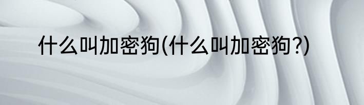 什么叫加密狗(什么叫加密狗?)