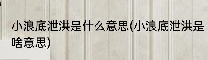 小浪底泄洪是什么意思(小浪底泄洪是啥意思)