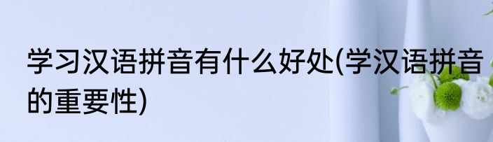 学习汉语拼音有什么好处(学汉语拼音的重要性)
