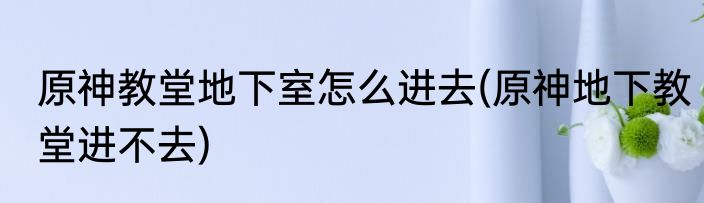 原神教堂地下室怎么进去(原神地下教堂进不去)