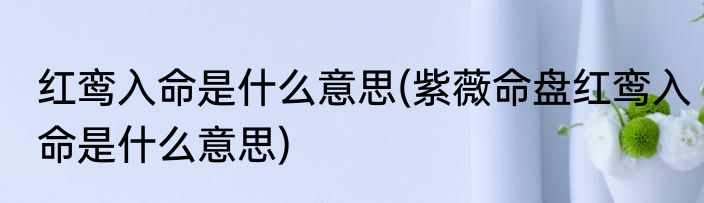 红鸾入命是什么意思(紫薇命盘红鸾入命是什么意思)