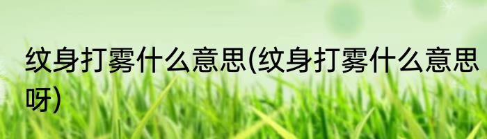 纹身打雾什么意思(纹身打雾什么意思呀)