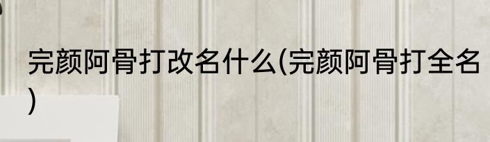 完颜阿骨打改名什么(完颜阿骨打全名)