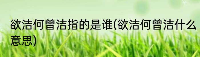 欲洁何曾洁指的是谁(欲洁何曾洁什么意思)