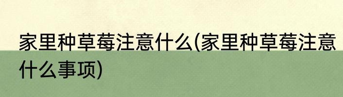 家里种草莓注意什么(家里种草莓注意什么事项)