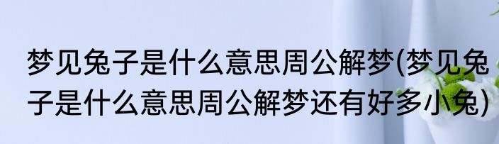 梦见兔子是什么意思周公解梦(梦见兔子是什么意思周公解梦还有好多小兔)
