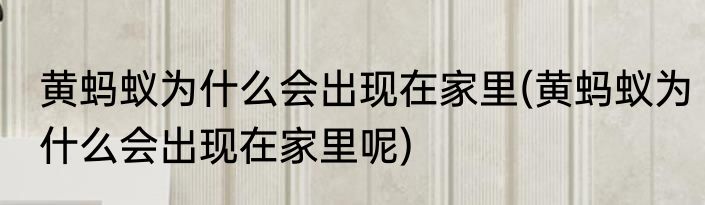 黄蚂蚁为什么会出现在家里(黄蚂蚁为什么会出现在家里呢)