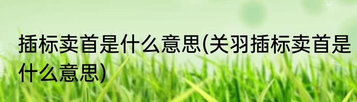 插标卖首是什么意思(关羽插标卖首是什么意思)