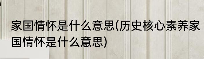 家国情怀是什么意思(历史核心素养家国情怀是什么意思)