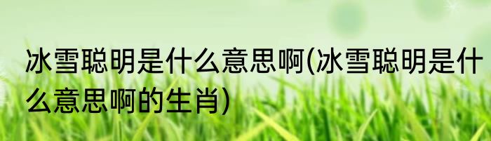 冰雪聪明是什么意思啊(冰雪聪明是什么意思啊的生肖)