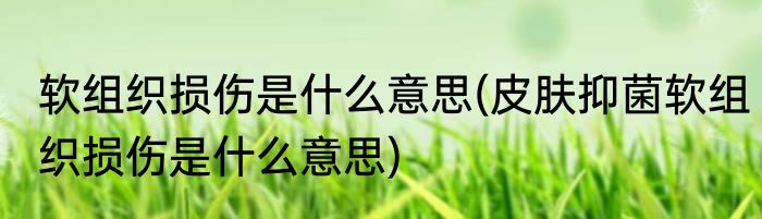 软组织损伤是什么意思(皮肤抑菌软组织损伤是什么意思)