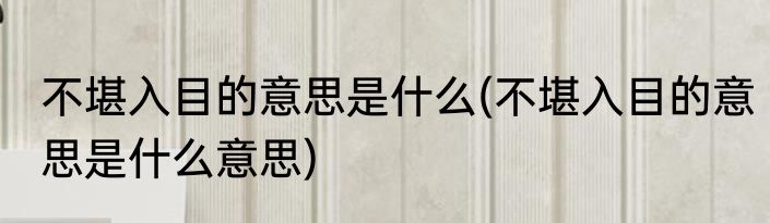 不堪入目的意思是什么(不堪入目的意思是什么意思)