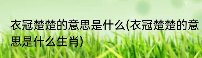 衣冠楚楚的意思是什么(衣冠楚楚的意思是什么生肖)