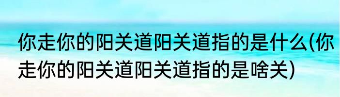 你走你的阳关道阳关道指的是什么(你走你的阳关道阳关道指的是啥关)