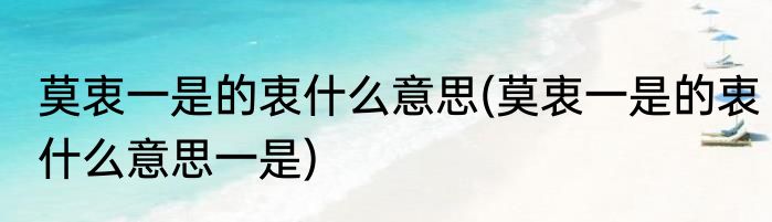 莫衷一是的衷什么意思(莫衷一是的衷什么意思一是)