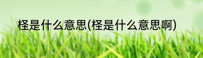 柽是什么意思(柽是什么意思啊)