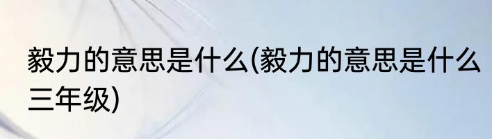 毅力的意思是什么(毅力的意思是什么三年级)