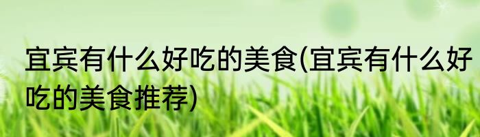 宜宾有什么好吃的美食(宜宾有什么好吃的美食推荐)