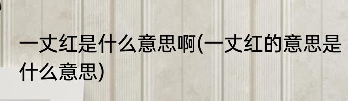 一丈红是什么意思啊(一丈红的意思是什么意思)