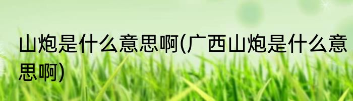 山炮是什么意思啊(广西山炮是什么意思啊)