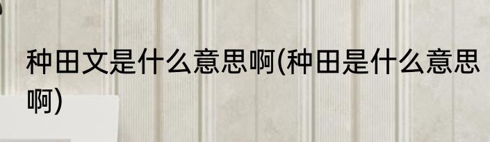 种田文是什么意思啊(种田是什么意思啊)