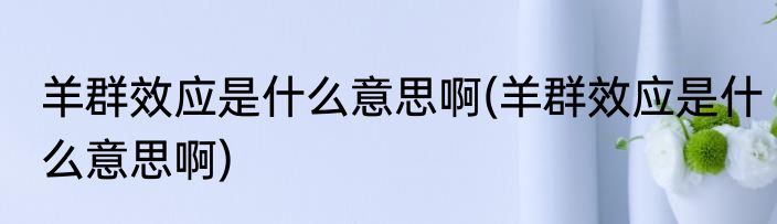 羊群效应是什么意思啊(羊群效应是什么意思啊)
