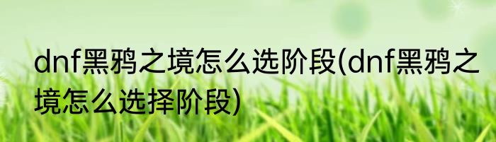 dnf黑鸦之境怎么选阶段(dnf黑鸦之境怎么选择阶段)