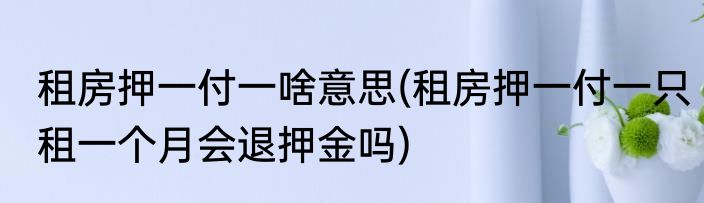 租房押一付一啥意思(租房押一付一只租一个月会退押金吗)