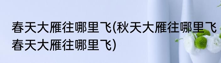 春天大雁往哪里飞(秋天大雁往哪里飞春天大雁往哪里飞)