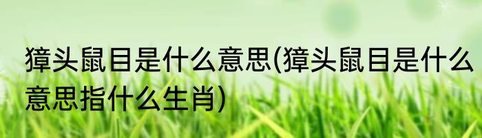 獐头鼠目是什么意思(獐头鼠目是什么意思指什么生肖)