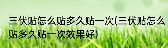 三伏贴怎么贴多久贴一次(三伏贴怎么贴多久贴一次效果好)