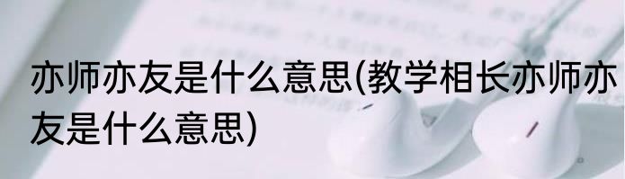 亦师亦友是什么意思(教学相长亦师亦友是什么意思)
