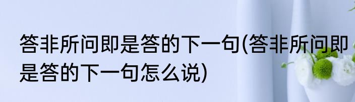 答非所问即是答的下一句(答非所问即是答的下一句怎么说)