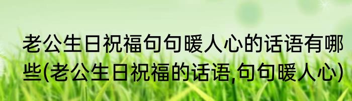 老公生日祝福句句暖人心的话语有哪些(老公生日祝福的话语,句句暖人心)