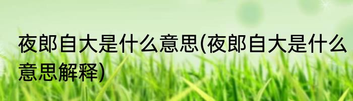 夜郎自大是什么意思(夜郎自大是什么意思解释)