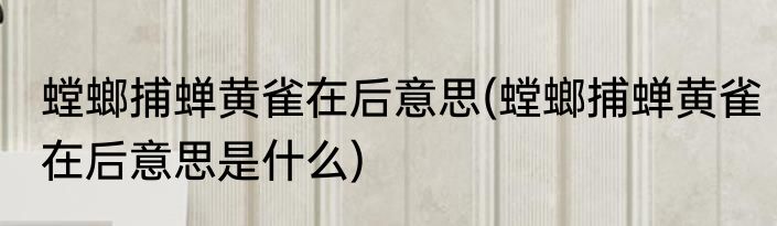 毕业朋友圈文案有哪些(毕业文案朋友圈文案)