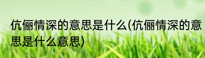 伉俪情深的意思是什么(伉俪情深的意思是什么意思)