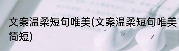 文案温柔短句唯美(文案温柔短句唯美简短)