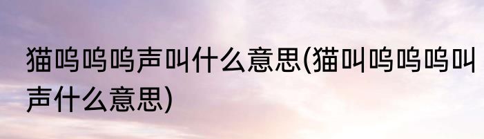 猫呜呜呜声叫什么意思(猫叫呜呜呜叫声什么意思)
