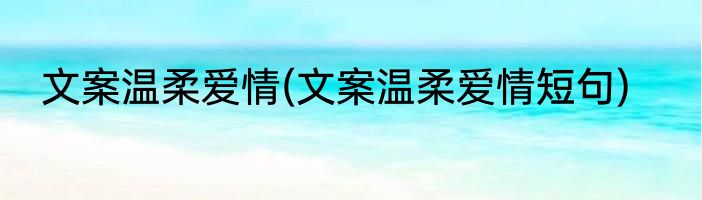 文案温柔爱情(文案温柔爱情短句)