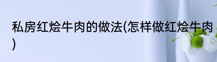 私房红烩牛肉的做法(怎样做红烩牛肉)