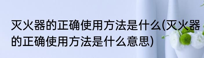 灭火器的正确使用方法是什么(灭火器的正确使用方法是什么意思)