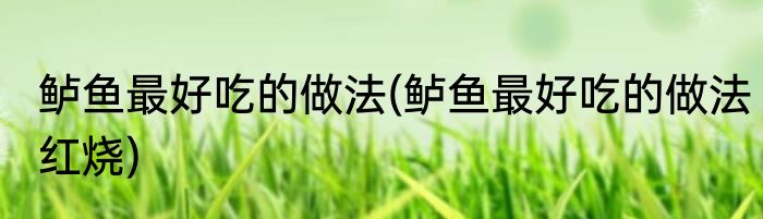 鲈鱼最好吃的做法(鲈鱼最好吃的做法红烧)