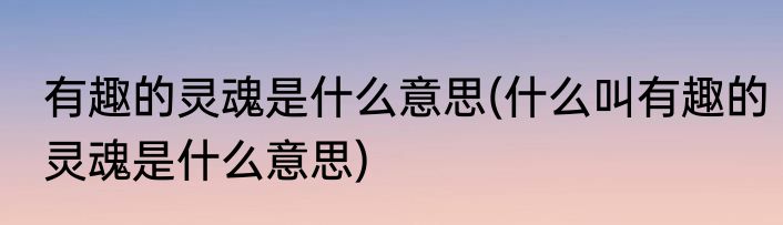 有趣的灵魂是什么意思(什么叫有趣的灵魂是什么意思)