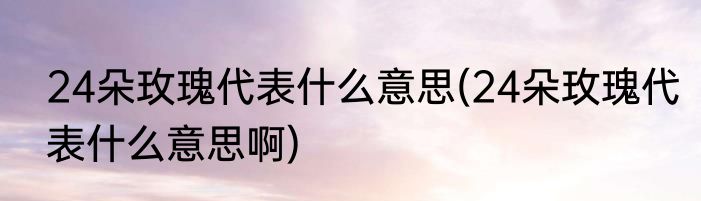 24朵玫瑰代表什么意思(24朵玫瑰代表什么意思啊)