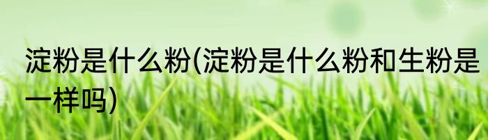 淀粉是什么粉(淀粉是什么粉和生粉是一样吗)