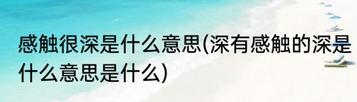感触很深是什么意思(深有感触的深是什么意思是什么)