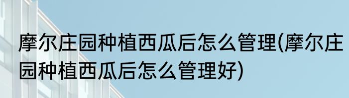 摩尔庄园种植西瓜后怎么管理(摩尔庄园种植西瓜后怎么管理好)