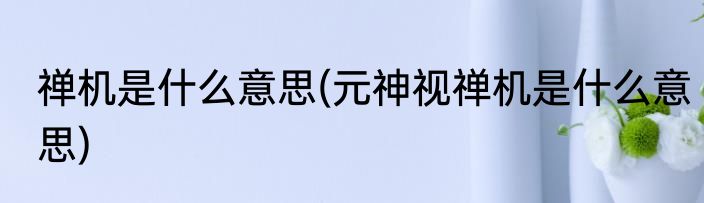 禅机是什么意思(元神视禅机是什么意思)
