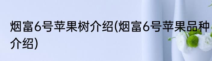 烟富6号苹果树介绍(烟富6号苹果品种介绍)